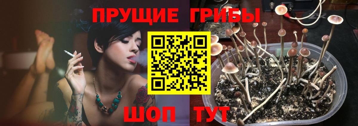 Галлюциногенные грибы MAGIC MUSHROOMS Заволжье