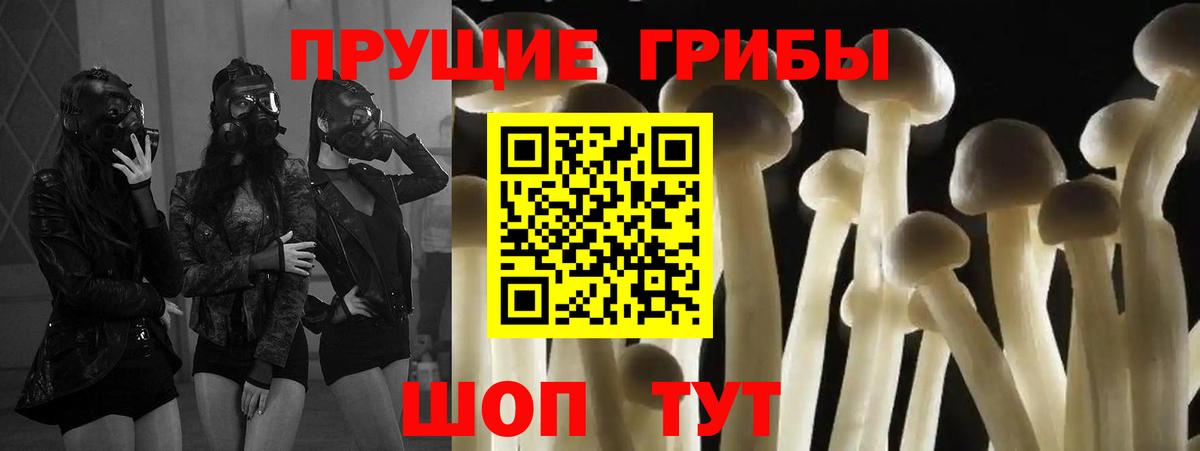 Псилоцибиновые грибы прущие грибы  Псилоцибиновые грибы ЛСД  Заволжье  Вход с VPN 